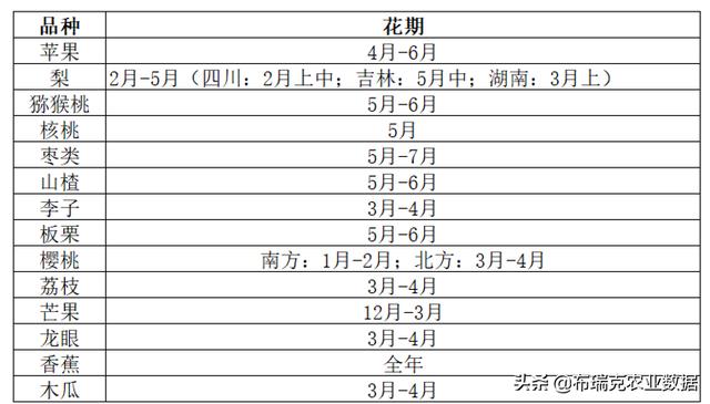 開春在即，農(nóng)產(chǎn)品產(chǎn)銷脫節(jié)后，生產(chǎn)問題開始暴露