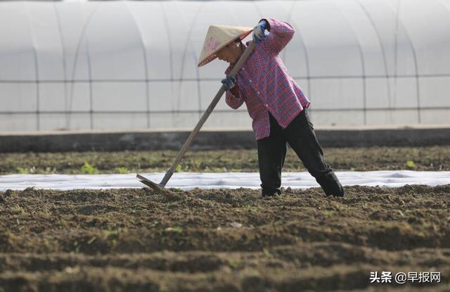 疫情全球擴散 多國紛紛自保禁止糧食出口