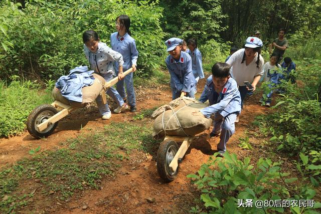 投資不到400萬(wàn)，僅用一年?duì)I額超1000萬(wàn)，湖南這家農(nóng)莊是怎么做的?