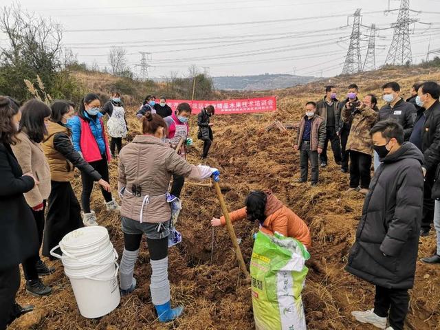 出不去，就在家搞好春耕！安順農(nóng)業(yè)部門(mén)協(xié)調(diào)支持各地返鄉(xiāng)農(nóng)民工紛紛在當(dāng)?shù)貏?wù)工