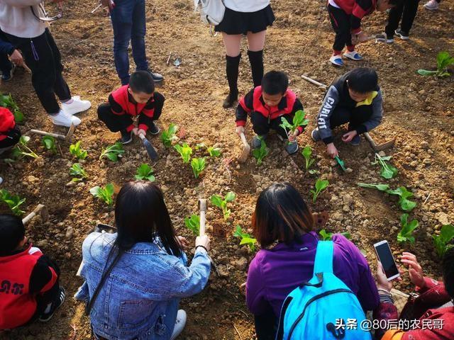 投資不到400萬(wàn)，僅用一年?duì)I額超1000萬(wàn)，湖南這家農(nóng)莊是怎么做的?