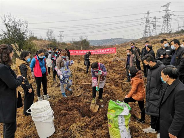 出不去，就在家搞好春耕！安順農(nóng)業(yè)部門(mén)協(xié)調(diào)支持各地返鄉(xiāng)農(nóng)民工紛紛在當(dāng)?shù)貏?wù)工