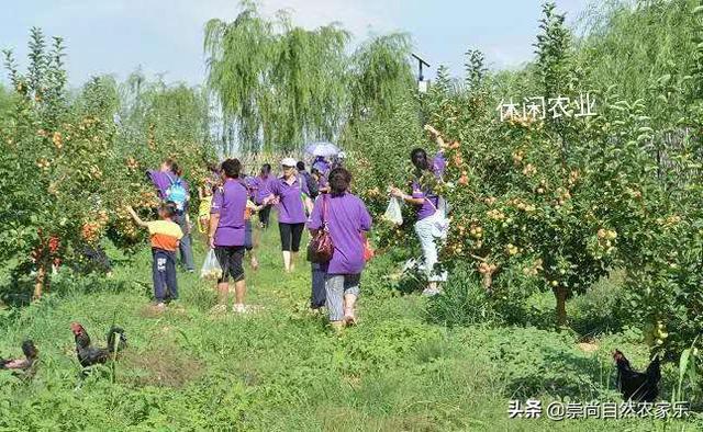 已經(jīng)證實，顛覆傳統(tǒng)農(nóng)業(yè)價值觀的新觀念，正在悄然興起且勢不可擋