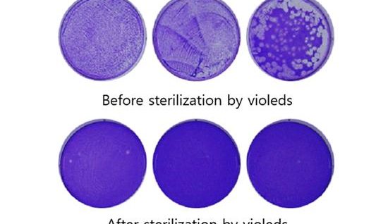 已證明有效！UV LED 30秒內(nèi)可殺滅99.9%的冠狀病毒