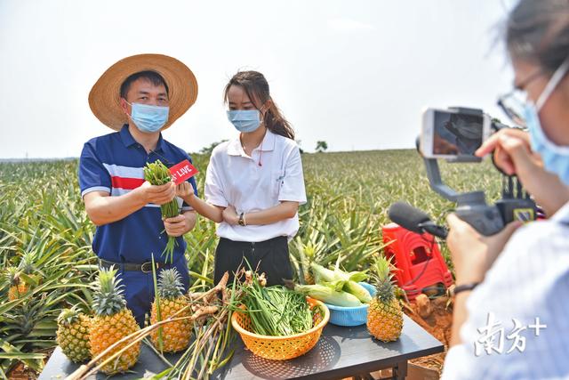 廣東將建農(nóng)業(yè)自貿(mào)區(qū)！這些新動作值得關(guān)注｜經(jīng)濟粵評