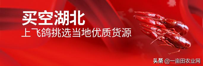 隨手拍個(gè)小視頻，引來兩千萬采購商？這次我們要“賣空湖北”！