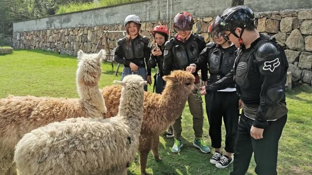 今年最火旅行方式！扎進(jìn)森林、星空露營，燒烤音樂…我愛了