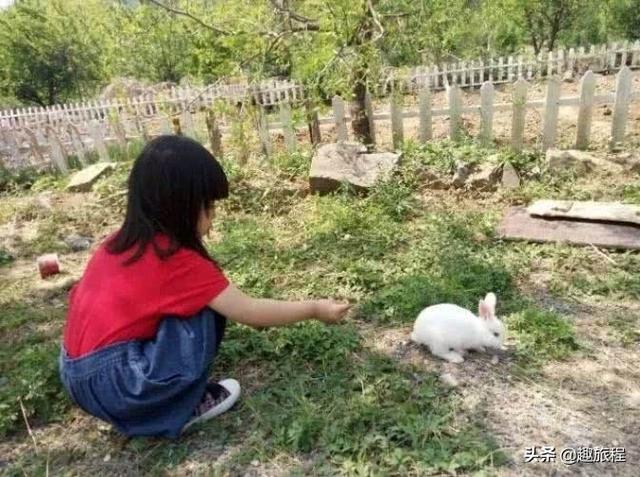 北京郊區(qū)的一處帳篷露營基地：睡進(jìn)青山綠水里,360°觀景日出