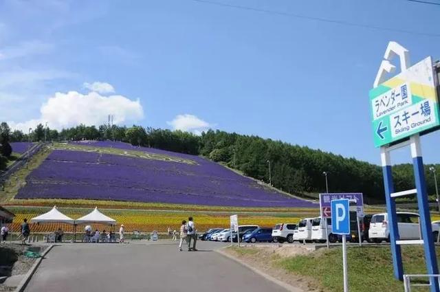 無門票和強制消費，北海道這個農(nóng)場卻創(chuàng)造年銷售額9億日元的神話