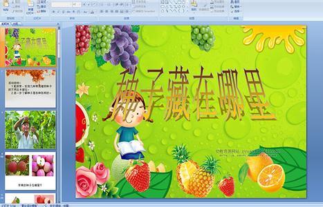 幼兒園科學教案：中班《種子躲藏起來了》與大班《種子變身》