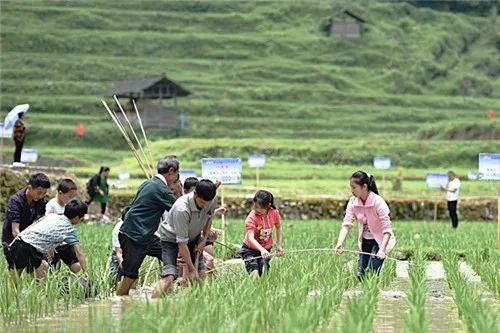 ?親子農(nóng)業(yè)：面向親子，立足農(nóng)業(yè)