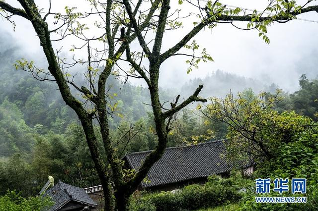 湖北咸豐蠻臺子：隱藏在大山深處的土家寨子