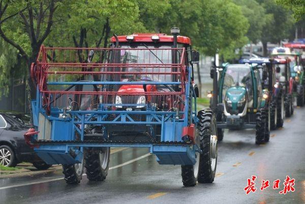 霸氣！華中農(nóng)業(yè)大學(xué)畢業(yè)生在校園內(nèi)開拖拉機(jī)巡游