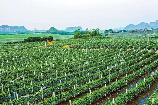 山西各地探索農(nóng)業(yè)生產(chǎn)托管服務(wù)，衡陽(yáng)市加快打造智慧農(nóng)業(yè)服務(wù)鏈