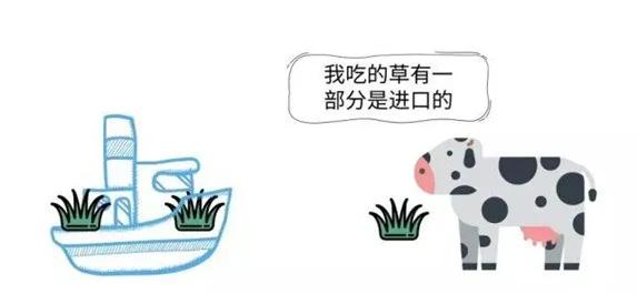 對(duì)比進(jìn)口牛奶，國(guó)產(chǎn)為何更貴？業(yè)內(nèi)人士：飼養(yǎng)依賴進(jìn)口拉高成本