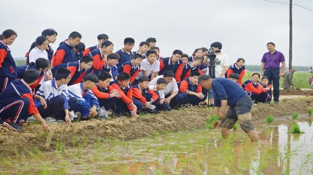 威海市文登區(qū)宋村中學開展插秧勞動實踐活動