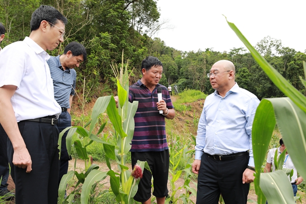 農(nóng)業(yè)農(nóng)村部：秋糧蟲害發(fā)生不容樂(lè)觀，全國(guó)已有43.8萬(wàn)個(gè)村完成集體產(chǎn)權(quán)制度改革