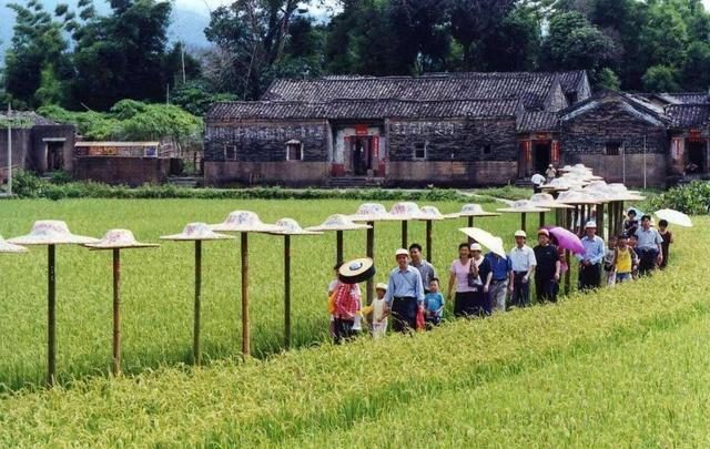 “稻漁空間”產業(yè)融合，融出農業(yè)新天地，魚蟹鴨游弋其間