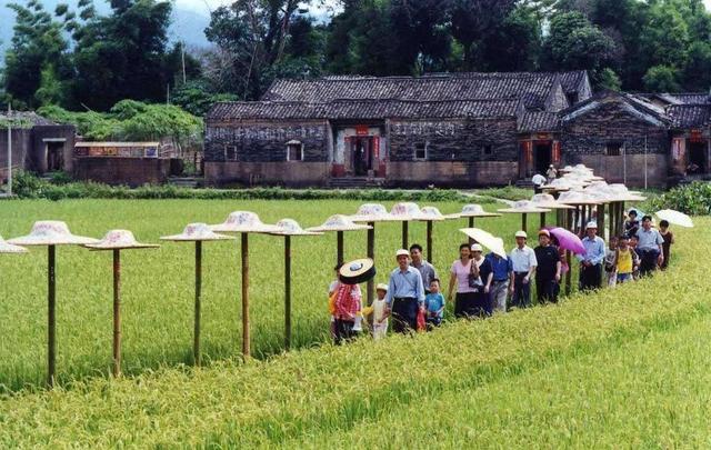 從田園風(fēng)盛行現(xiàn)象看當代社會的痛點與創(chuàng)業(yè)青年的機會