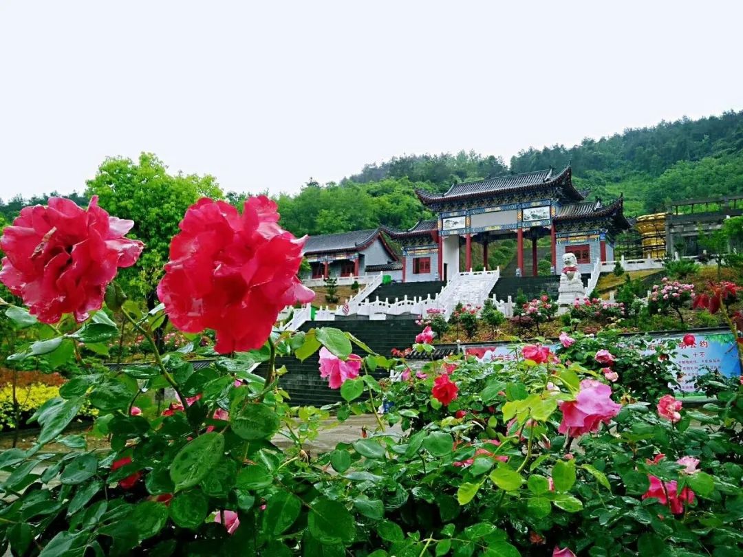 湖北鄉(xiāng)村旅游十大美景，有你向往的田園生活氣息！