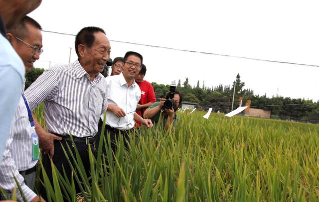 深度調(diào)研糧食安全問(wèn)題：主糧無(wú)憂，飼料用糧缺口大，急需戰(zhàn)略儲(chǔ)備