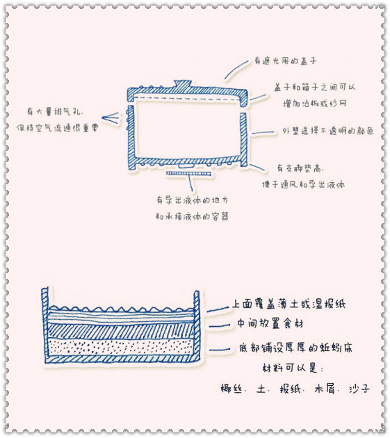 校園研學農場：用廚余垃圾制蚯蚓堆肥，用蚯蚓有機肥種草莓