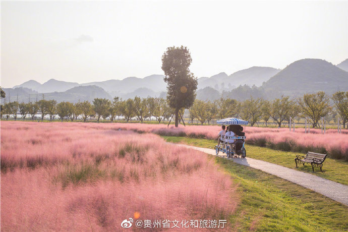 粉黛花海案例：粉色的迷宮，童話般浪漫世界