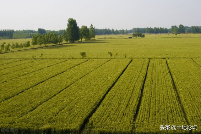 誰來種地？怎么種地？我國(guó)農(nóng)業(yè)生產(chǎn)托管服務(wù)組織超90萬個(gè)