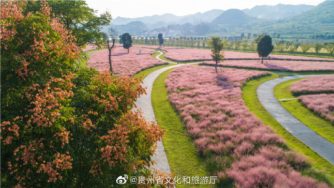 粉黛花海案例：粉色的迷宮，童話般浪漫世界