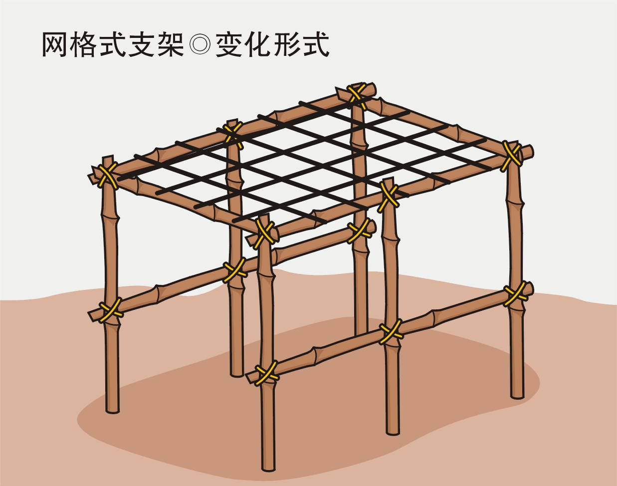 農(nóng)業(yè)勞動(dòng)實(shí)踐活動(dòng)：給喜歡爬藤的蔬菜作物搭立生長支架？