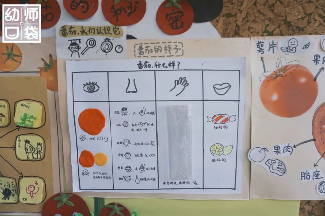 介紹一所幼兒園的自然教育與勞動(dòng)課程，家長(zhǎng)和孩子們超喜愛