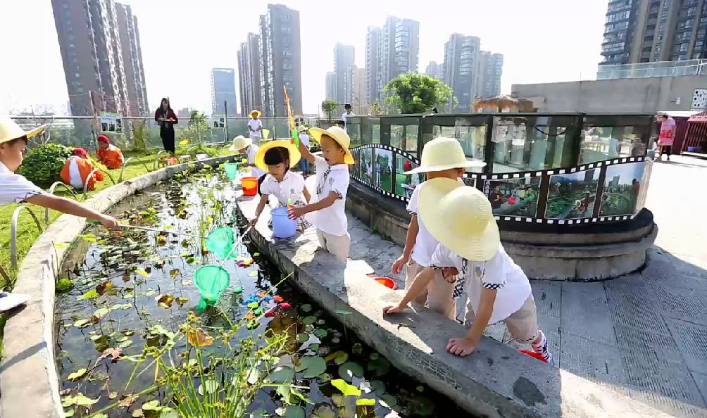 介紹一所幼兒園的自然教育與勞動(dòng)課程，家長(zhǎng)和孩子們超喜愛