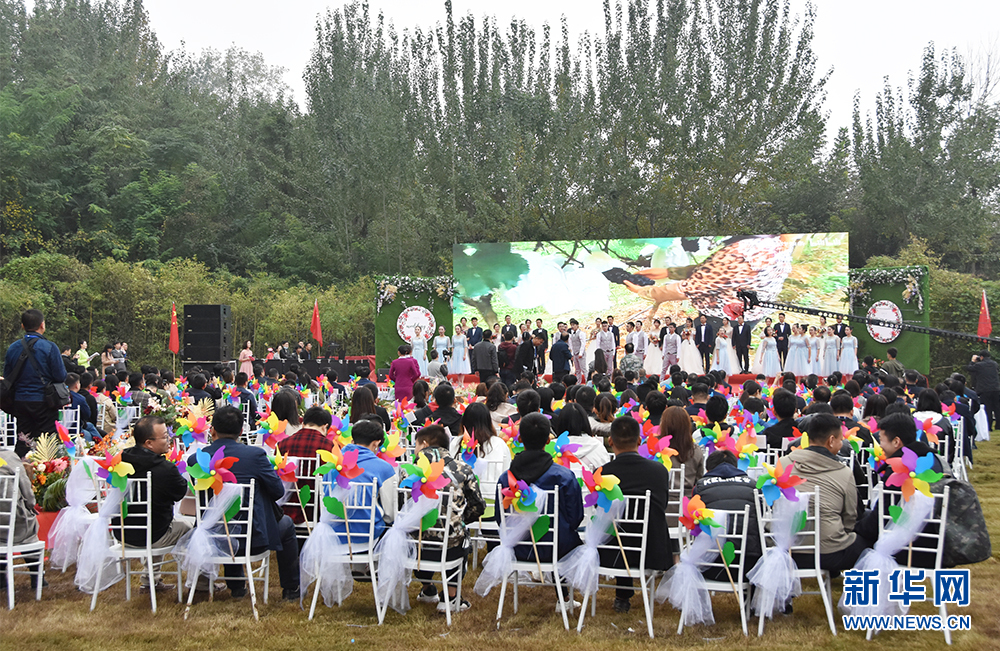 陜西西安：金秋時節(jié)鄉(xiāng)村公園里的特殊集體婚禮