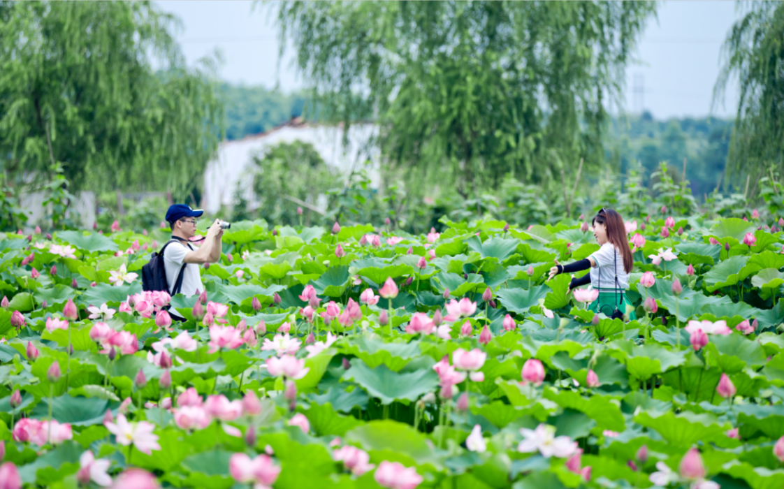 湖南鄉(xiāng)村文化旅游節(jié)10月31日在郴州開幕，看看有哪些特色活動(dòng)？