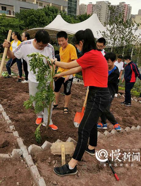 這個校園版“開心農(nóng)場”很特別，學生自己設(shè)計，再動手耕種與收獲