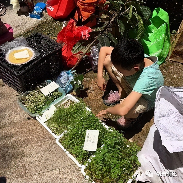 城市社區(qū)農(nóng)夫的線下市集活動：種蔬菜,做美食,制蛋糕,釀啤酒...