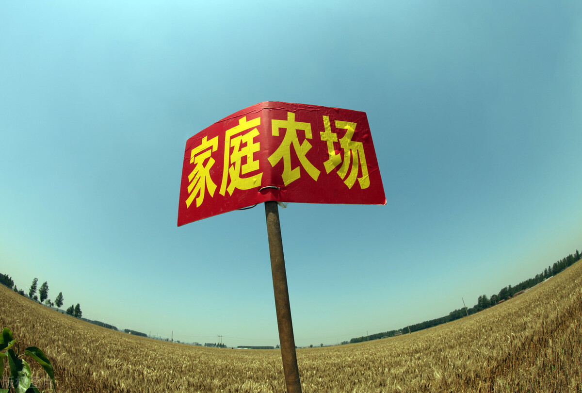 農(nóng)村土地流轉(zhuǎn)行業(yè)的“秘密”，涉農(nóng)創(chuàng)業(yè)者知道后可省萬元!