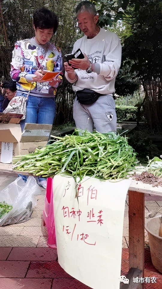 城市社區(qū)農(nóng)夫的線下市集活動：種蔬菜,做美食,制蛋糕,釀啤酒...