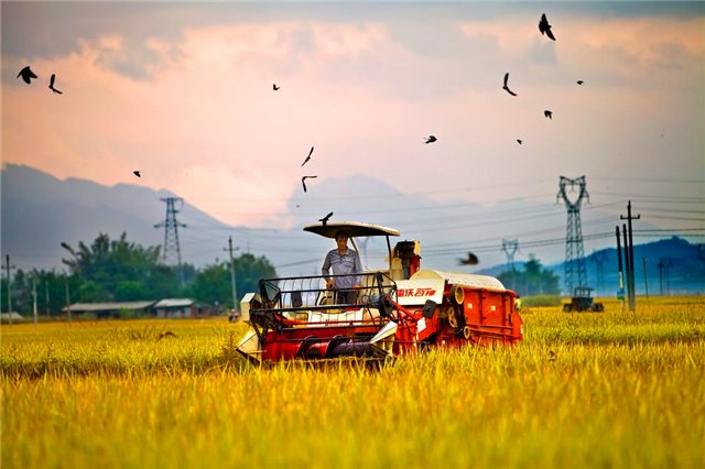 紹興市新增8家省級(jí)示范性青創(chuàng)農(nóng)場(chǎng)，蘭州市力爭(zhēng)5年建立200家示范家庭農(nóng)場(chǎng)