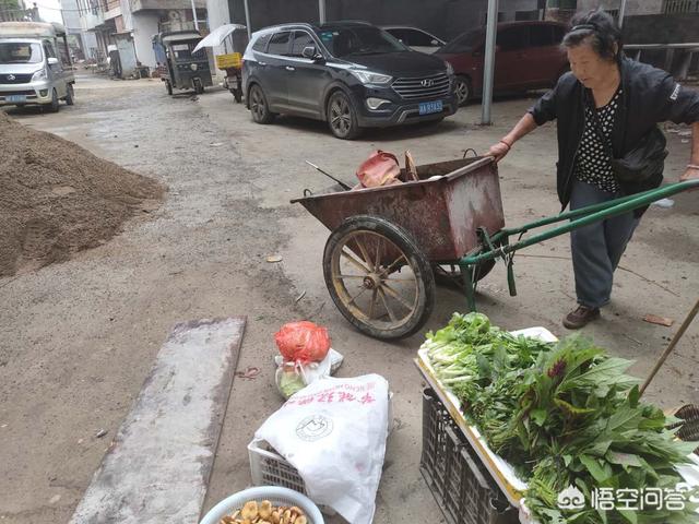 農(nóng)村一些古稀之年的老人仍種田種菜去街上換錢，是勞動習慣還是生活所迫？