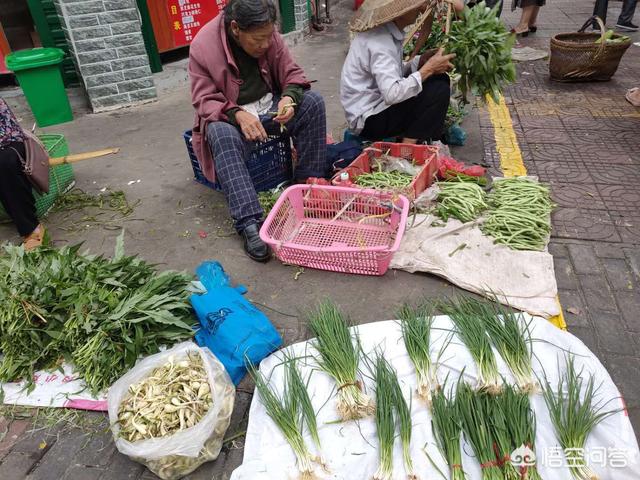 農(nóng)村一些古稀之年的老人仍種田種菜去街上換錢，是勞動習慣還是生活所迫？