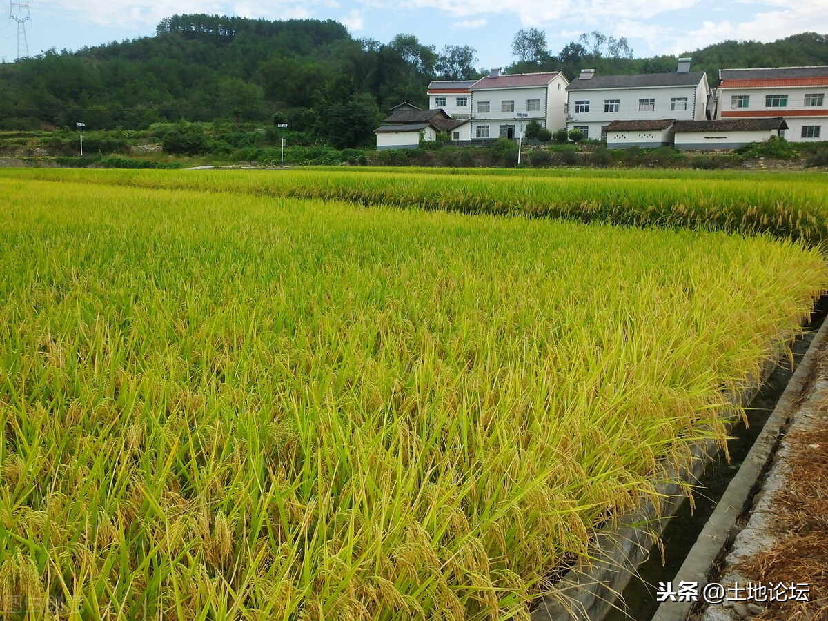 農(nóng)村申請(qǐng)宅基地建房難嗎？那為什么申請(qǐng)了就是不批呢？