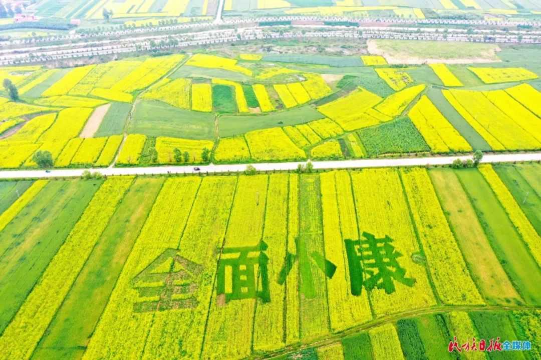 甘肅省：2020年臨夏州農(nóng)業(yè)農(nóng)村工作總結(jié)，沃野千里涌春潮！