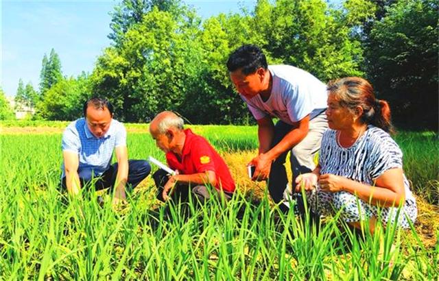 民以食為天，人民離不開的農(nóng)業(yè)，卻成為一條死路？