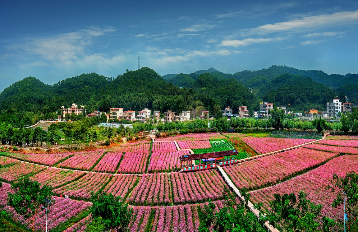 花都大力發(fā)展都市現(xiàn)代農(nóng)業(yè)，2020年農(nóng)業(yè)高速增長10.4 %