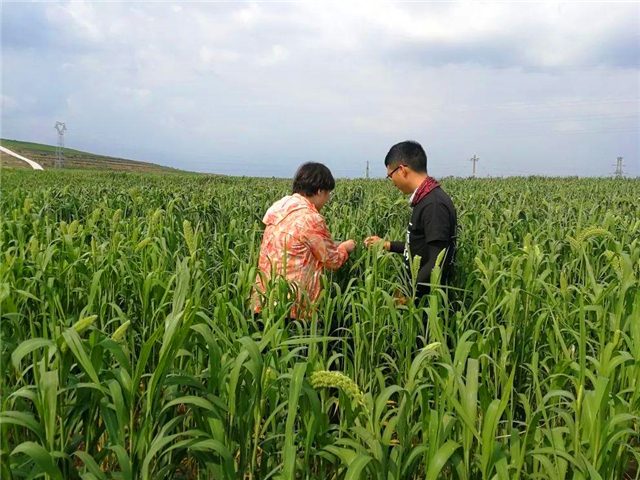 山東推開(kāi)新型職業(yè)農(nóng)民職稱評(píng)定制度，廈門(mén)持續(xù)實(shí)施新型職業(yè)農(nóng)民培育工程