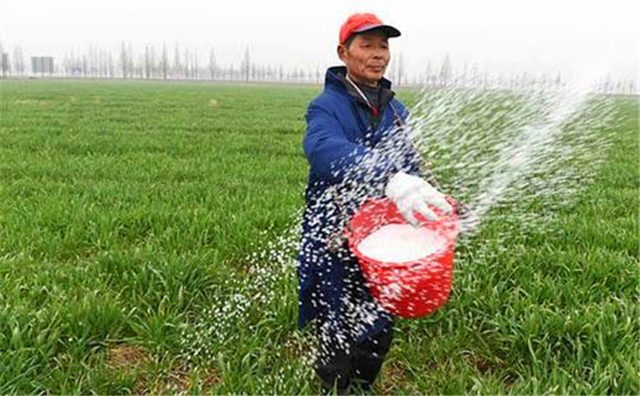 民以食為天，人民離不開的農(nóng)業(yè)，卻成為一條死路？