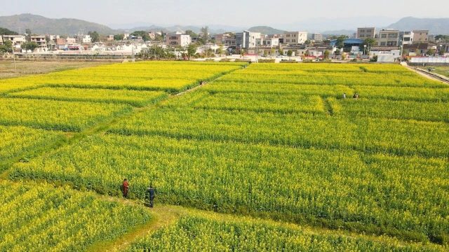 人大代表孫斌談鄉(xiāng)村振興問題：農業(yè)人才短缺，資本想投但不敢投