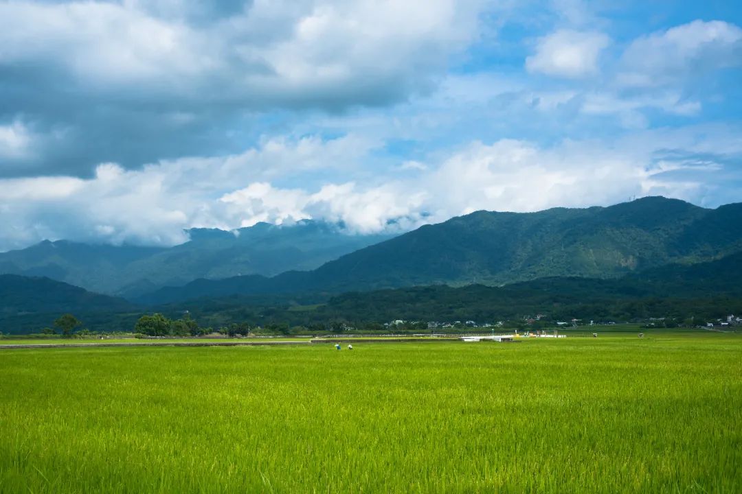 臺灣休閑農(nóng)業(yè)的可取之處有哪些？總結(jié)出這19個好經(jīng)驗|臺灣休閑農(nóng)業(yè)的可取之處有哪些？總結(jié)出這19個好經(jīng)驗