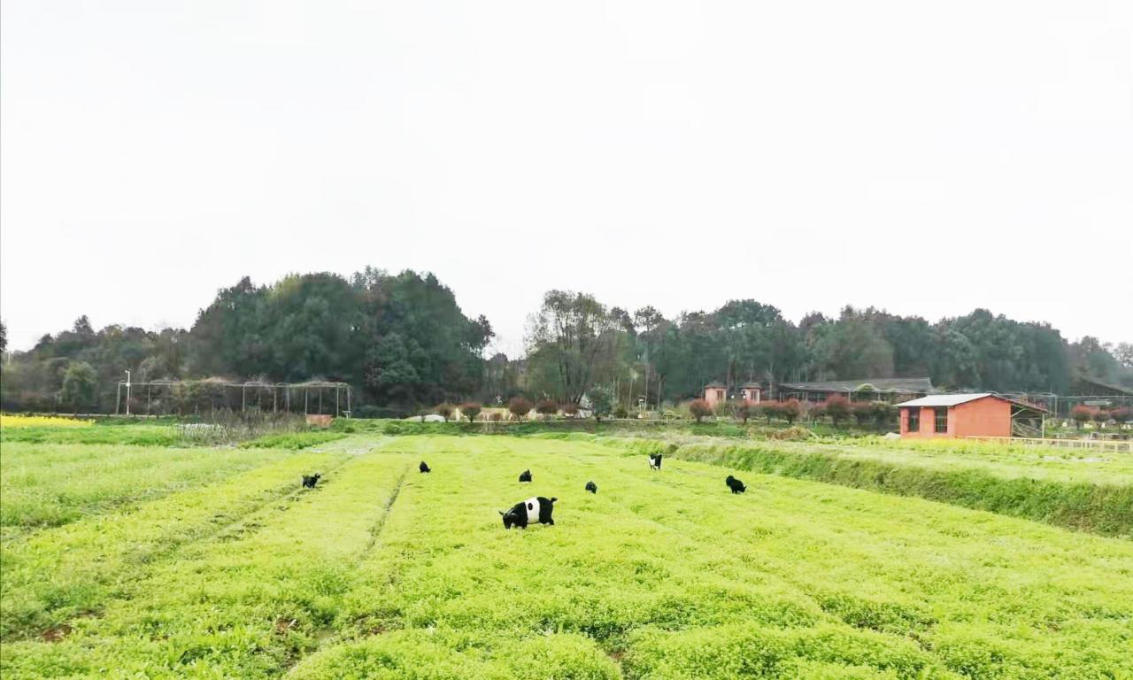 這個有機農(nóng)場4次轉(zhuǎn)型升級，靠親子科普教育活動提煉出全新盈利模式